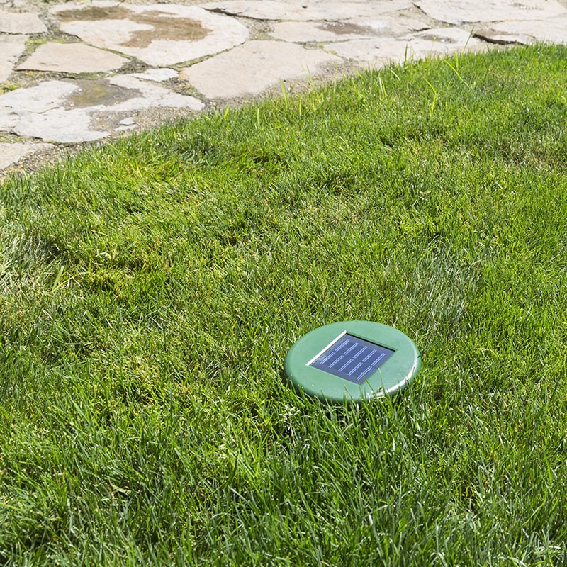 Solar Snake Repeller - Aussie Bark Control